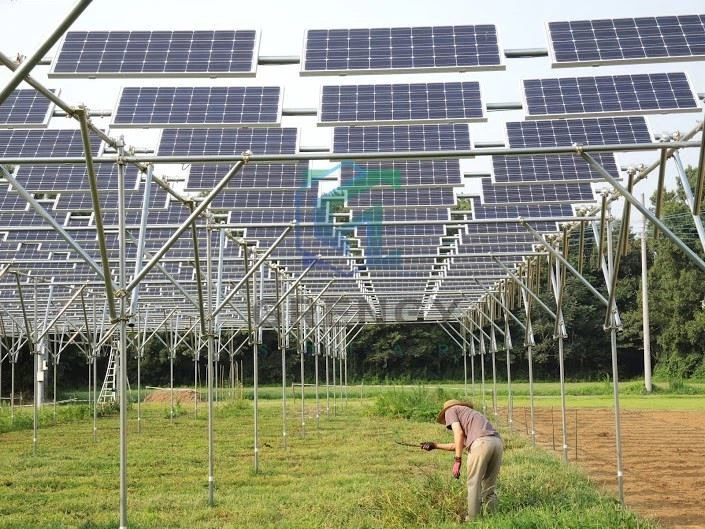 Ground-Mounted Solar Farms 2-4 Meters High